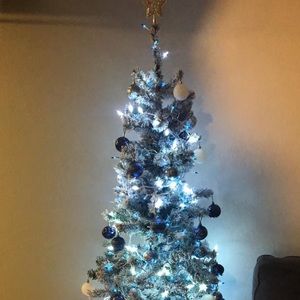 Meet your Posher, Elisabeth